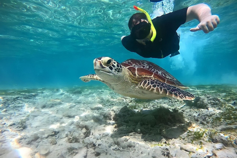 Gili Eilanden: Snorkel privé rondvaart met lokale gidsPrivé 3 uur met pick-up vanaf Gili Meno.