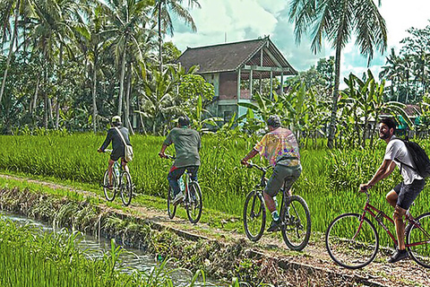 Half-Day Cycling to Discover Battambang's Rural Livelihoods