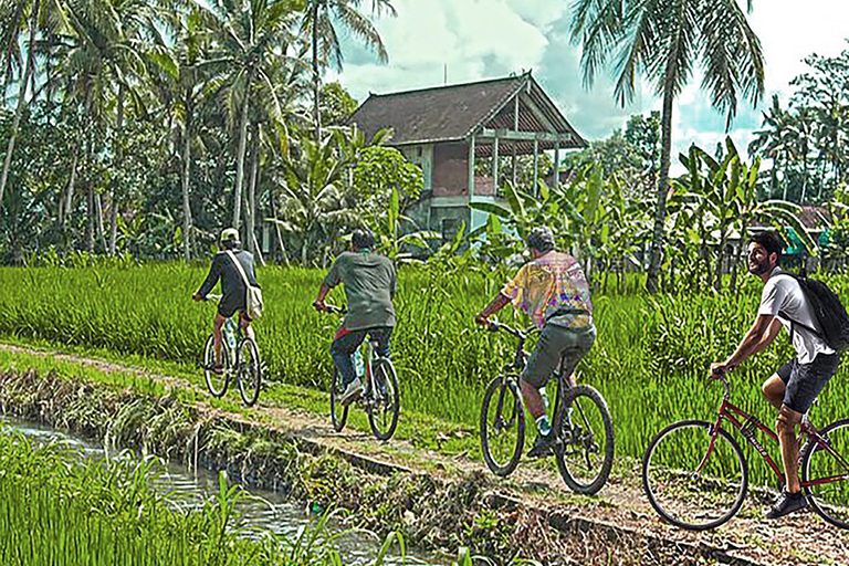 Half-Day Cycling to Discover Battambang's Rural Livelihoods