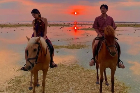 Gili Trawangan: Beach Horse Riding Experiences 1 Hour Ride