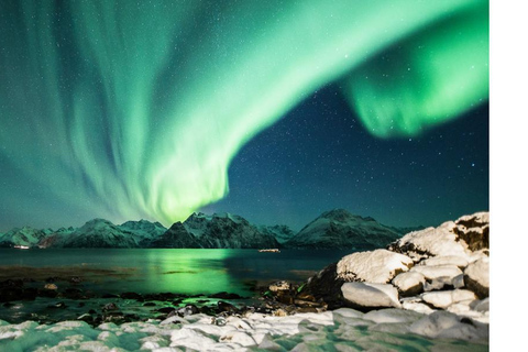 Tromsö: Nordlicht-Verfolgungsjagd im großen Bus mit kostenlosen Fotos