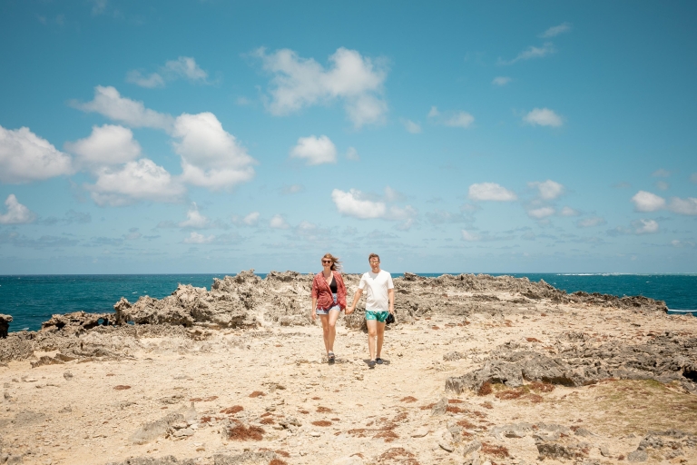 Île Maurice : journée en hors-bord à l'île aux Cerfs et BBQExcursion privée