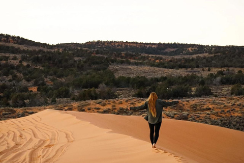 Kanab: Coral Pink Sand Dunes Sunset UTV, S’mores and Stars