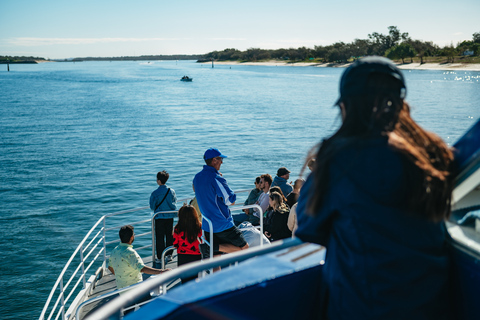 Spirit of Gold Coast 2.5-Hour Whale Watching Tour