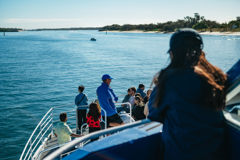 Excursión de 2,5 horas de avistamiento de ballenas Spirit of Gold Coast