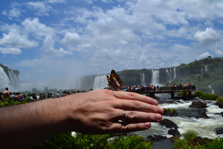 Luxury Private Iguazu Falls Tour – Argentina & Brazil