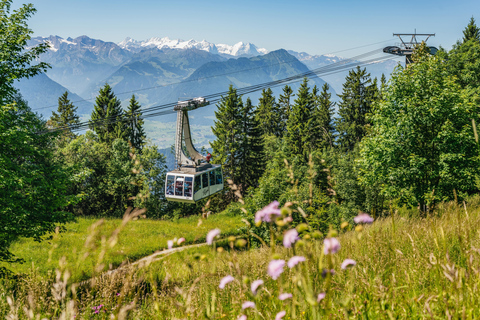 Zurich: Mount Rigi Day & Lucerne cable car, train and cruise