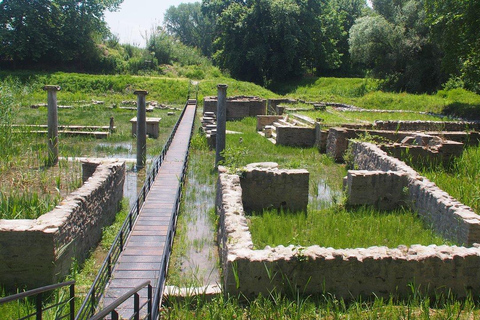 From Thessaloniki: Historic Ancient Macedonia Private Tour From Thessaloniki: Historic Ancient Macedonia Tour (Entrees)