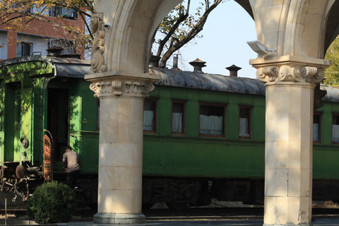 Vanuit Tbilisi: Gori per trein - Stalinmuseum en verborgen parelsPrivé-ervaring