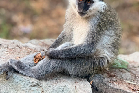 Addis Abeba: 3-tägige Tour zu den Seen des Rift Valley mit Guide