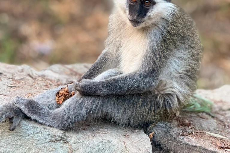 Addis Abeba: 3-tägige Tour zu den Seen des Rift Valley mit Guide