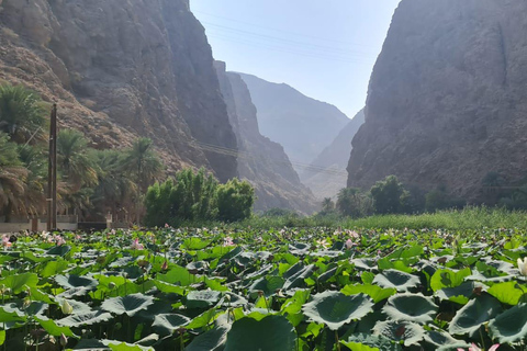 Muscat: 3-Day Oman Highlights Tour – Beach, Desert, Mountain