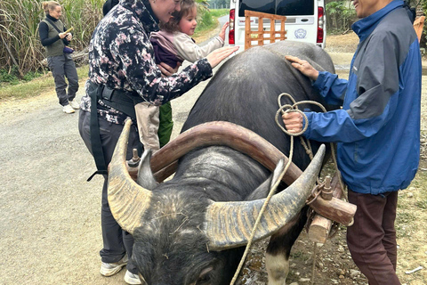 河内：2天-浦隆-徒步旅行、度假村和阳台房河内：2 天 Pu Luong 徒步、度假村和阳台房
