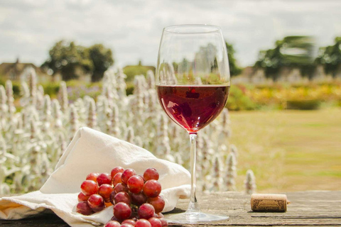 Zakynthos/Degustação de vinhos