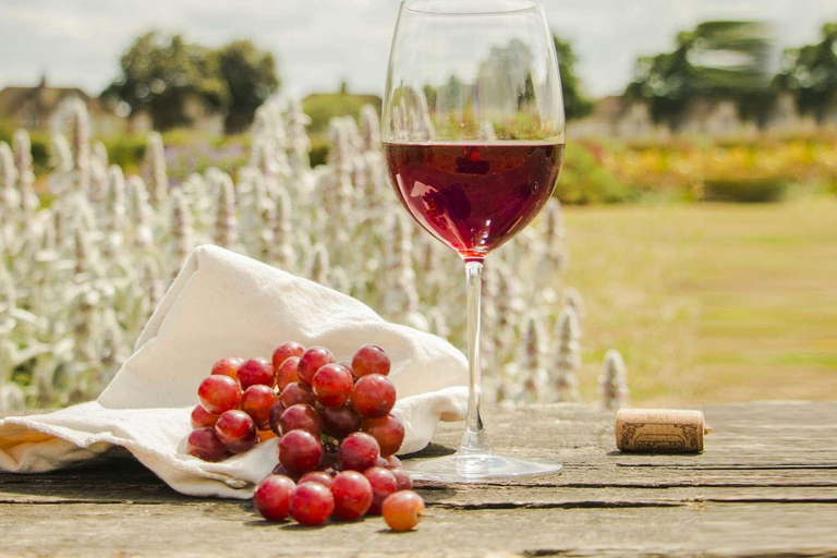 Zakynthos/Degustação de vinhos