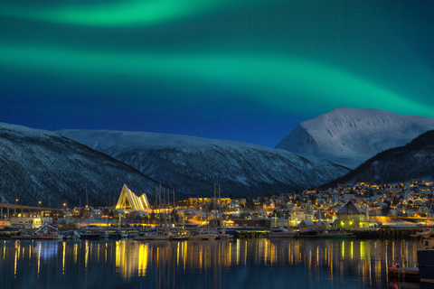 Tromsø: Guided Northern Lights Safari by Sprinter Minibus