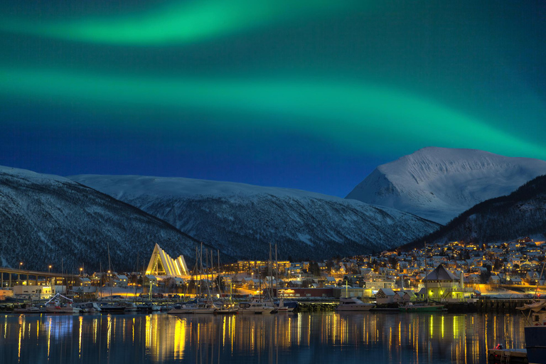 Tromsø: Safari guiado pela aurora boreal em miniautocarro Sprinter