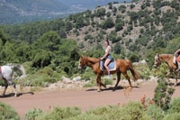Icmeler Horse Riding Through The Rivers and Forest - Housity