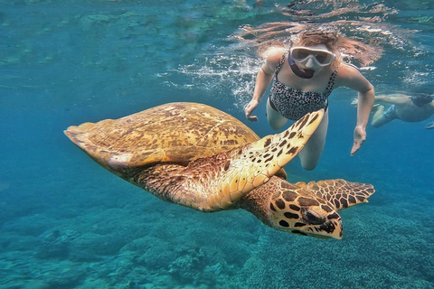 Wycieczka z Lombok na Gili Asahana: idealny dzień w raju