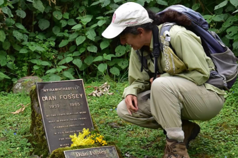 Rwanda 2-day Gorilla Trekking & Dian Fossey Tomb Visit