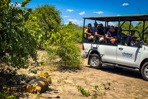 Desde las cataratas Victoria Excursión de un día a Chobe, Botsuana
