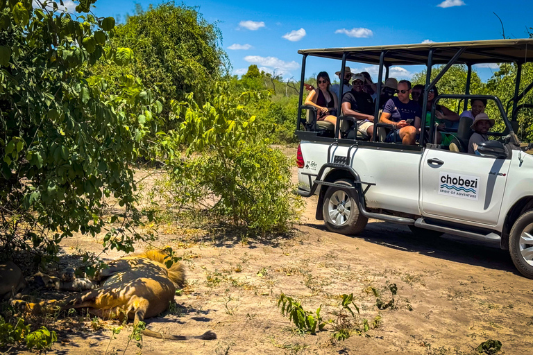 Desde las cataratas Victoria Excursión de un día a Chobe, Botsuana