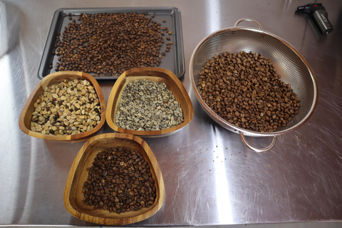 Medellin: Coffee Experience and Workshop