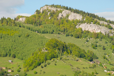 Brașov: Visit a Transylvanian Village Home near Bran Castle From Brașov to a Traditional Village Home in the Bran Area