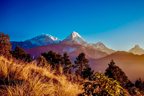 Pokhara: 3 Day Poon Hill Trek with Guide