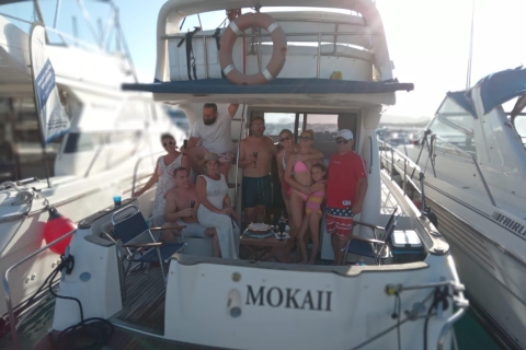 Tenerife sud : safari en bateau de luxe, rencontres avec les animaux