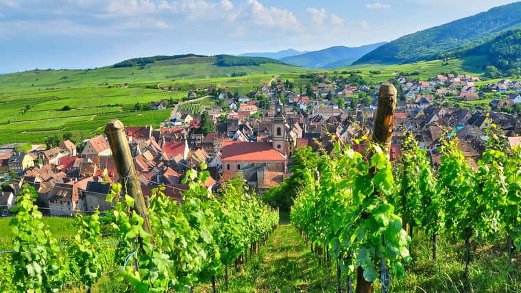 Best Activities in Hautvillers