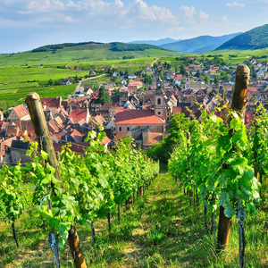 From Paris: Small-Group Champagne Day Trip with Six Tastings