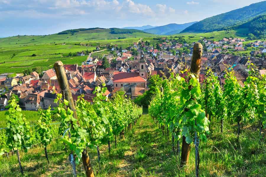 Von Paris aus: Tagestour in kleiner Gruppe mit sechs Verkostungen in der Champagne. Foto: GetYourGuide Von Paris aus: Tagestour in kleiner Gruppe mit sechs Verkostungen in der Champagne. Foto: GetYourGuide