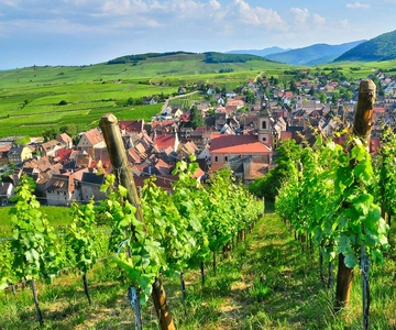 From Paris: Small-Group Champagne Day Trip with Six Tastings
