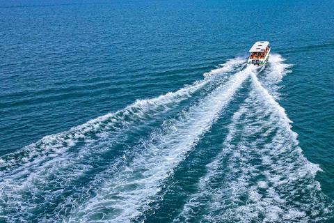 From Paracas: Ballestas Islands and Paracas National Reserve Ballestas Islands tour only