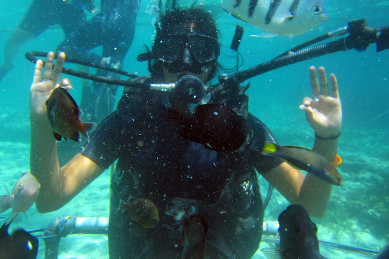 Bali: Scuba Diving For Beginner ExperienceBali: Scuba Diving For Beginner Experience with Pickup