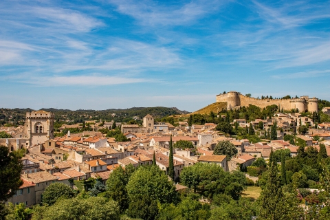 Avignon Privérondleiding en wijnproeverijen uit Marseille