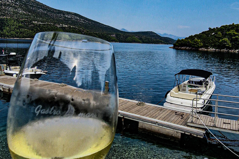 Dubrovnik: Privé speedboot huren met schipperHalfdaagse tour