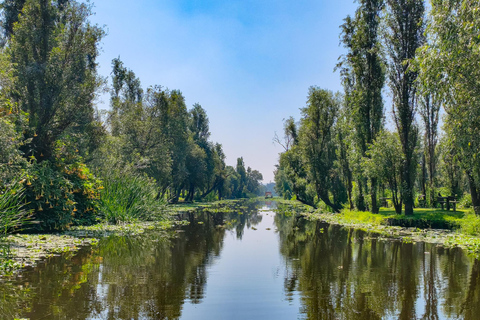 Xochimilco: Original Doll Island, & Axolotl Tour Mexico City: Canals, Original Doll Island, & Axolotl Tour