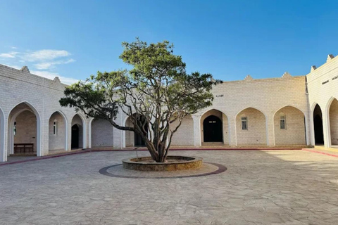 Salalah Half-Day City Tour: Culture & Frankincense