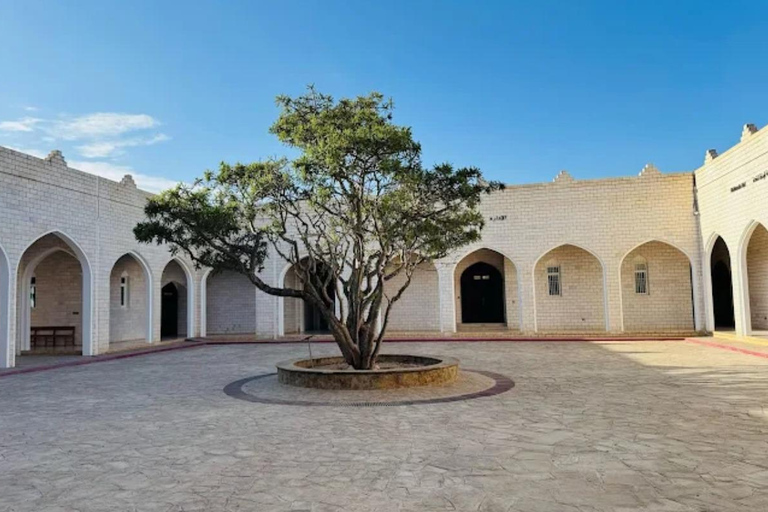 Salalah Half-Day City Tour: Culture & Frankincense