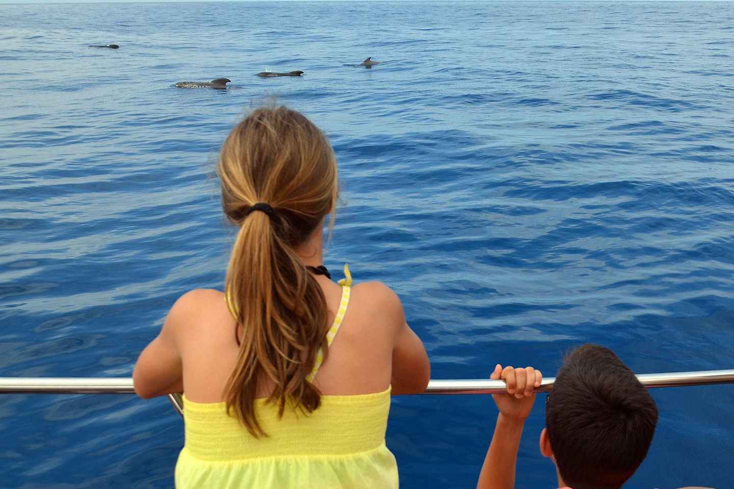 Los Cristianos: Avventura in Barca e Avvistamento Balene