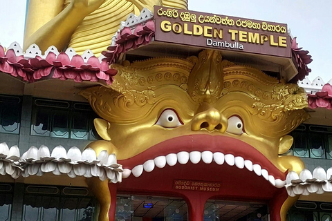 From Colombo or Kandy: Sigiriya Rock Fortress Day Tour