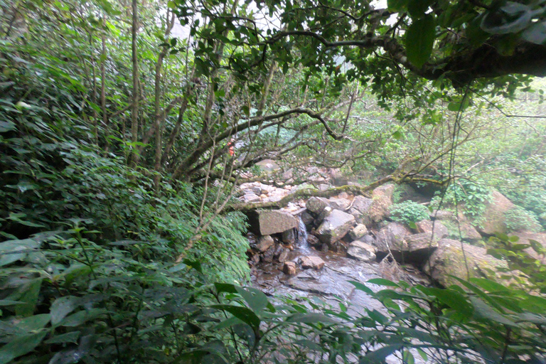 Kandy: Passeio de um dia pelas cachoeiras e vilarejo local com almoço