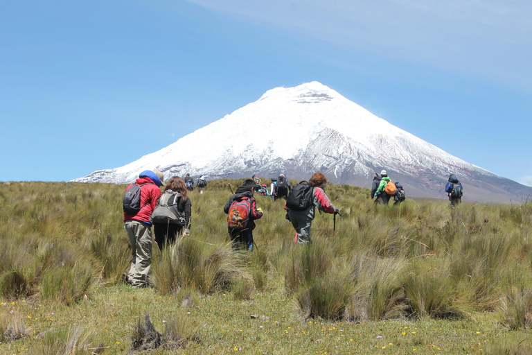 Ecuador: La Strada dei Vulcani - Tour di 7 giorniEcuador: La Via dei Vulcani - Tour di 7 giorni