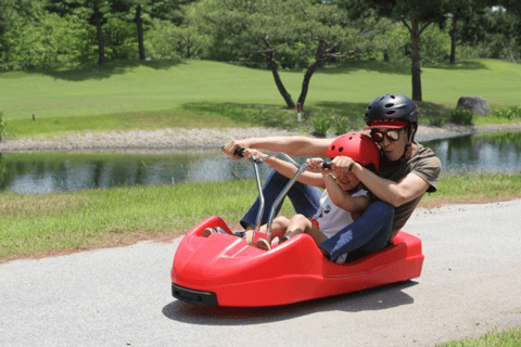 From Seoul: Alpaca Farm with Rail bike/ Luge Racing Railbike Group Tour, meet at Dongdaemun (DDP)