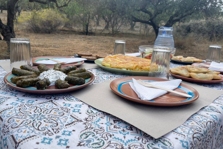 Heraklion: Brunch dei contadini cretesi e tour dell&#039;oliveto