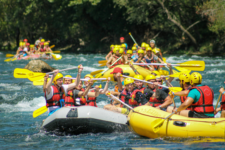 From Tirana/Durres/Golem: Adventure Guided Rafting Day Trip Private Tour from Tirana or Durres