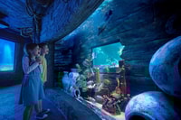 Johor, Legoland Malaysia Resort Entry Ticket - Housity