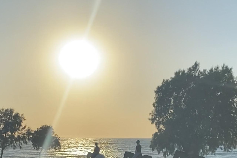 جزيرة رودس: ركوب الخيل على الشاطئ عند غروب الشمس